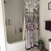 BEFORE mode master shower
